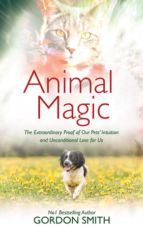 Animal Magic by Gordon Smith: 9781401972998 : Books