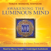 Awakening The Luminous Mind 