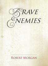 Brave Enemies Cover