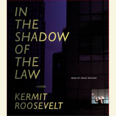 In the Shadow of the Law cover