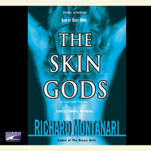The Skin Gods Cover