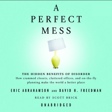 A Perfect Mess