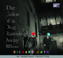 The Color of A Dog Running Away Cover