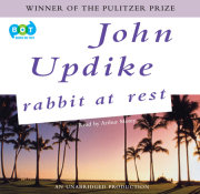 Rabbit at Rest 