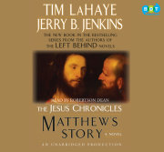 Matthew's Story: Book 4 of the Jesus Chronicles 