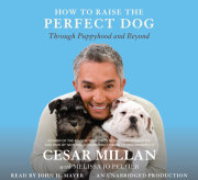 How to Raise the Perfect Dog 