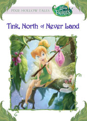 Tink, North of Never Land (Disney Fairies) 