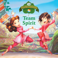 Book cover for Disney Fairies: Team Spirit