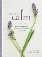 The Art of Calm