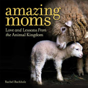 Amazing Moms 