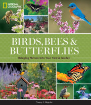 National Geographic Birds, Bees, and Butterflies