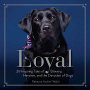 Loyal 