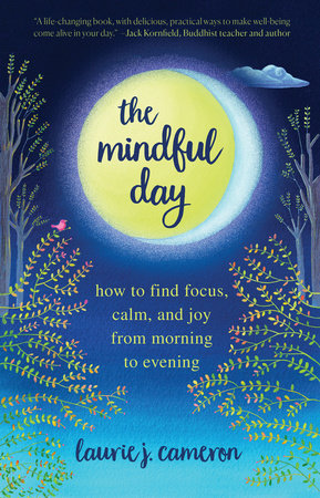 Mindfulness: A Practical Guide to Awakening [Book]