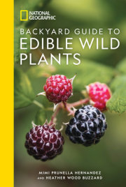 National Geographic Backyard Guide to Edible Wild Plants