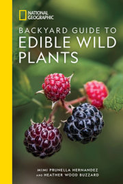 National Geographic Backyard Guide to Edible Wild Plants