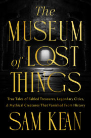 The Museum of Lost Things 