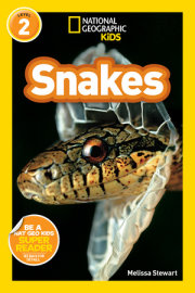 National Geographic Readers: Snakes! 