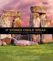 If Stones Could Speak 