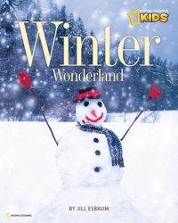 Book cover for Winter Wonderland
