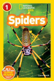 Spiders (National Geographic Kids Readers, Level 1) 