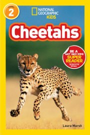 Cheetahs (National Geographic Kids Readers, Level 2) 