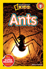 Ants (National Geographic Kids Readers, Level 1) 