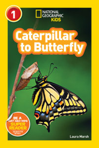 Cover of Caterpillar to Butterfly (National Geographic Kids Explore! Readers, Level 1) cover