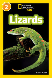 National Geographic Readers: Lizards 