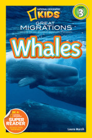Great Migrations Whales (National Geographic Kids Readers, Level 3) 