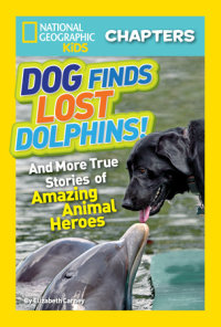 Book cover for National Geographic Kids Chapters: Dog Finds Lost Dolphins!