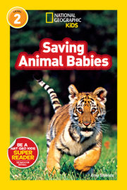 Saving Animal Babies (National Geographic Kids Readers, Level 2) 