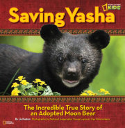 Saving Yasha 