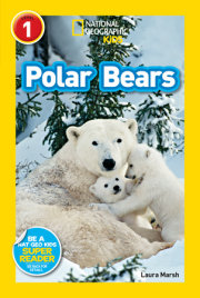 Polar Bears (National Geographic Kids Readers, Level 1) 
