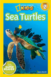 Sea Turtles (National Geographic Kids Readers, Level 2) 