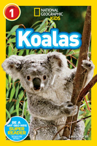 Book cover for Koalas (National Geographic Kids Readers, Level 1)