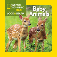 Book cover for National Geographic Kids Look and Learn: Baby Animals
