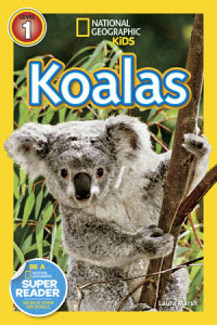 Cover of Koalas (National Geographic Kids Readers, Level 1) cover