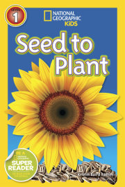 Seed to Plant (National Geographic Kids Readers, Level 1) 
