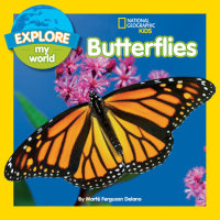 Book cover for Explore My World: Butterflies