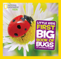 Cover of National Geographic Little Kids First Big Book of Bugs cover
