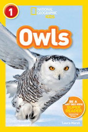 National Geographic Readers: Owls 