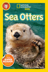 Cover of Sea Otters (National Geographic Kids Readers, Level 1) cover