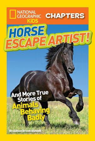 Horse Escape Artist By Ashlee Brown