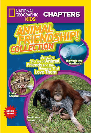 Friendship Collection
