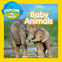 Book cover for Explore My World: Baby Animals