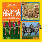 Animal Groups 