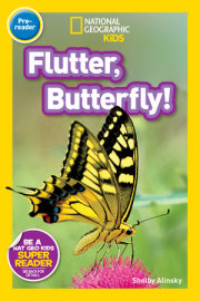 Flutter, Butterfly! (National Geographic Kids Readers, Pre-Reader) 