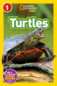 Book cover for Turtles (National Geographic Kids Readers, Level 1)