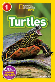 Turtles (National Geographic Kids Readers, Level 1) 