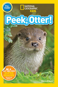 Cover of National Geographic Readers: Peek, Otter (Pre-Reader) cover